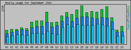 Hourly usage