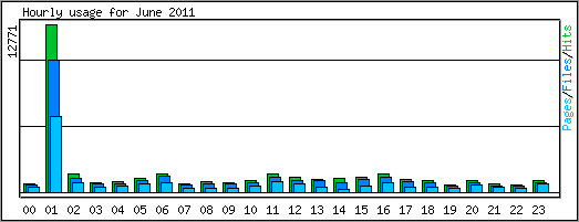 Hourly usage