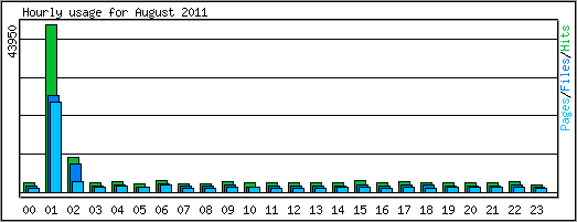 Hourly usage