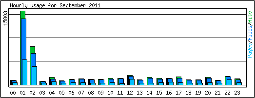 Hourly usage