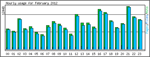 Hourly usage
