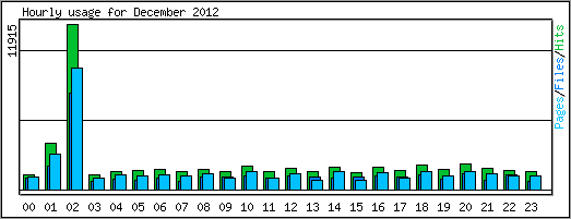 Hourly usage