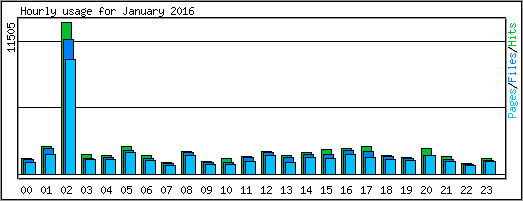Hourly usage
