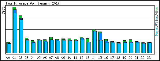 Hourly usage