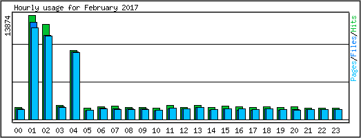 Hourly usage
