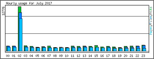 Hourly usage
