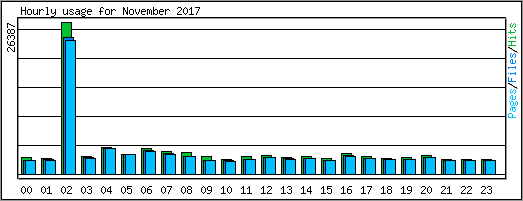 Hourly usage
