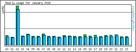 Hourly usage