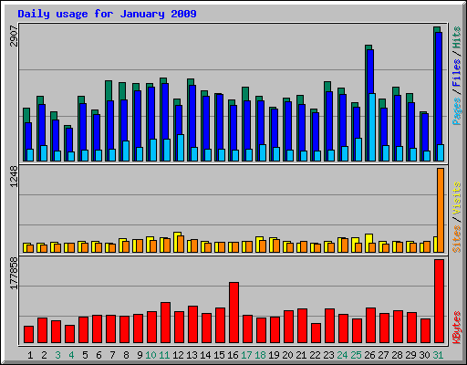 Daily usage for January 2009