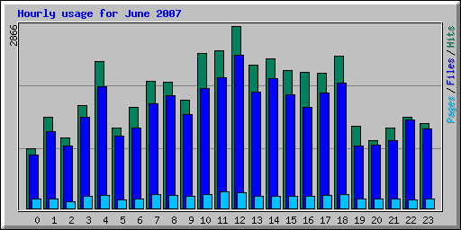 Hourly usage for June 2007