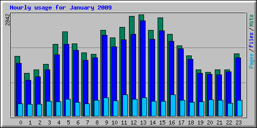 Hourly usage for January 2009