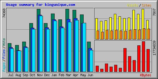Usage summary for kingunique.com
